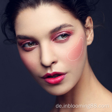 71 Farben Custom High Pigment Make -up Lidschattenpalette